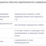 документы-прилагаемые-с-зая